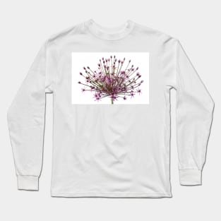 Allium  &#39;Spider&#39;  Ornamental onion Long Sleeve T-Shirt